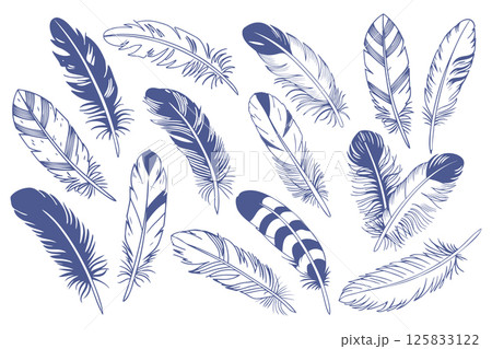 Feathers set. Collection of intricate hand drawn blue bird feathers. Illustration. 125833122
