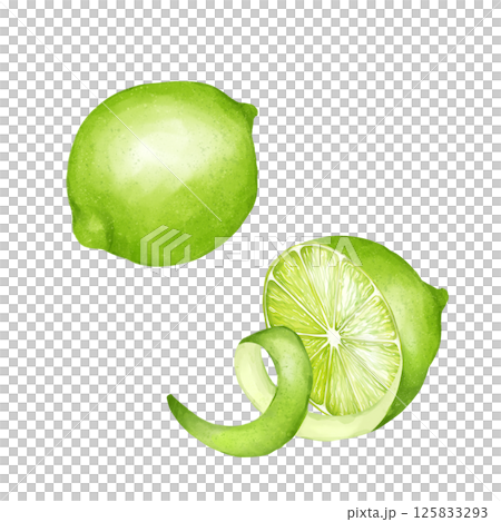 Lime with peeled skin, hand drawn illustration of half and fresh green lime Lime with peeled skin, hand drawn illustration of half and fresh green lime 125833293