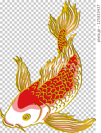 紅鯉魚_下_華麗的鰭 紅鯉魚_下_華麗的鰭 125833437