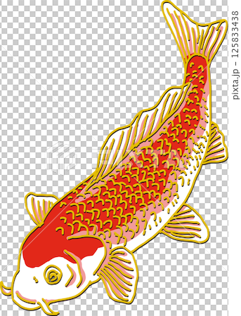 Red carp_downward 125833438