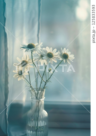 Tranquil Morning Light with Fresh Daisy Arrangement on Window Sill Tranquil Morning Light with Fresh Daisy Arrangement on Window Sill 125833593