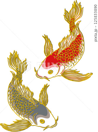 鯉二匹_下向き_ヒレ華やか 125833890
