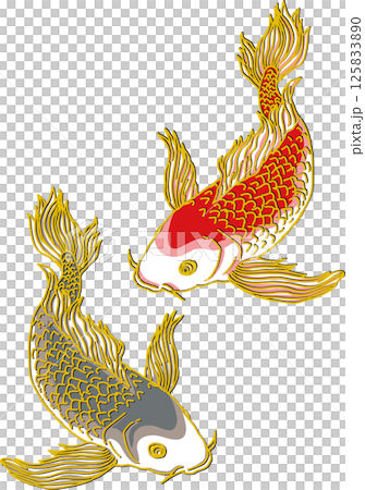 鯉二匹_下向き_ヒレ華やか 125833890