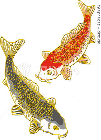 鯉二匹_下向き 125833891