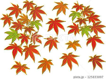 紅いモミジ 125833897