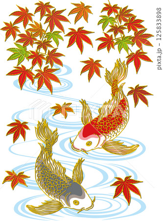紅いモミジと鯉二匹_水面あり_黒い鯉下向き_赤い鯉下向き_ヒレ華やか 紅いモミジと鯉二匹_水面あり_黒い鯉下向き_赤い鯉下向き_ヒレ華やか 125833898