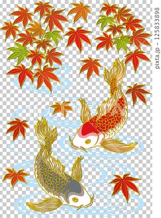 紅いモミジと鯉二匹_水面あり_黒い鯉下向き_赤い鯉下向き_ヒレ華やか 紅いモミジと鯉二匹_水面あり_黒い鯉下向き_赤い鯉下向き_ヒレ華やか 125833898