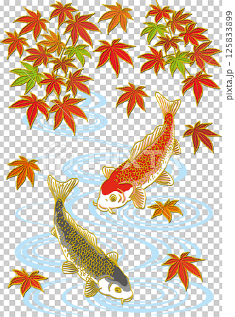 紅楓與兩條鯉魚_水面_黑鯉朝下_紅鯉朝下 125833899