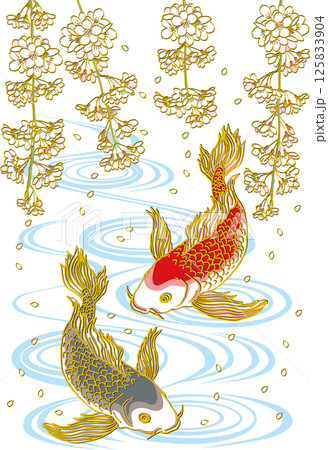 枝垂れ桜と鯉二匹_水面あり_黒い鯉下向き_赤い鯉下向き_ヒレ華やか 枝垂れ桜と鯉二匹_水面あり_黒い鯉下向き_赤い鯉下向き_ヒレ華やか 125833904