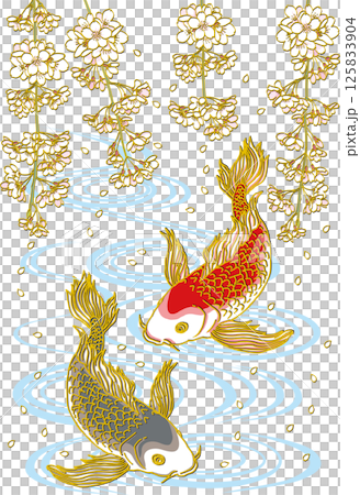 Weeping cherry blossom and two carp_Water surface_Black carp facing downward_Red carp facing downward_Gorgeous fins 125833904