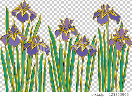 菖蒲の花 125833906