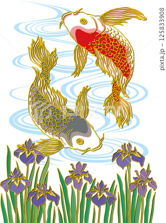 菖蒲の花と鯉二匹_水面あり_黒い鯉下向き_赤い鯉上向き_ヒレ華やか 125833908