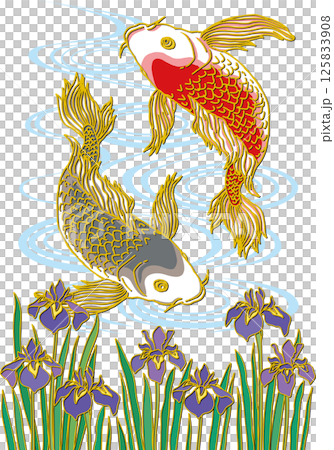 菖蒲の花と鯉二匹_水面あり_黒い鯉下向き_赤い鯉上向き_ヒレ華やか 125833908