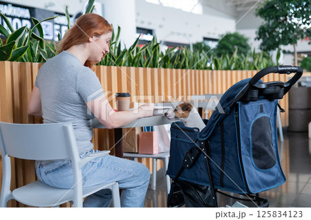 Caucasian woman having lunch in a cafe with her Jack Russell terrier dog in a stroller.  125834123