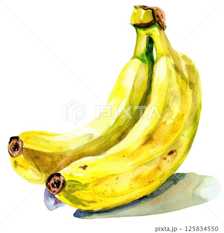 A bunch of ripe bananas comes to life in this watercolor painting 125834550