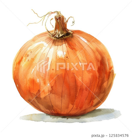 A warm, golden-toned watercolor illustration of an onion with delicate root details A warm, golden-toned watercolor illustration of an onion with delicate root details 125834576