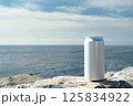 Blank Aluminum Can on Rocky Shore Overlooking Ocean 125834922