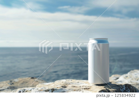 Blank Aluminum Can on Rocky Shore Overlooking Ocean 125834922