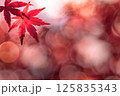 紅葉と光の玉 125835343
