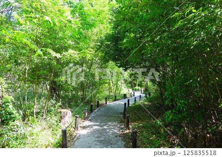 【神奈川県・横浜市】里山ガーデン 【神奈川県・横浜市】里山ガーデン 125835518