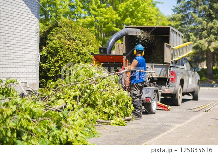 equipment and workers cut the branch under a shredder 125835616