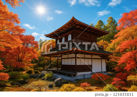 京都 銀閣寺のモミジの紅葉 京都 銀閣寺のモミジの紅葉 125835831