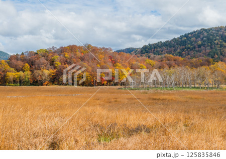 燃える秋 紅葉に色づく尾瀬 燃える秋 紅葉に色づく尾瀬 125835846
