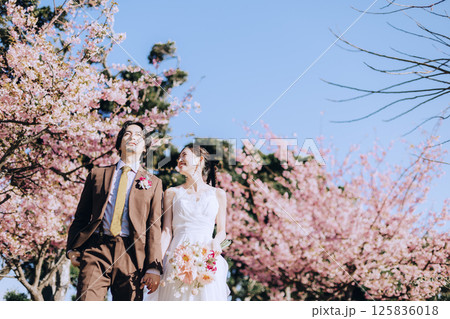桜と前撮りウェディング撮影 125836018
