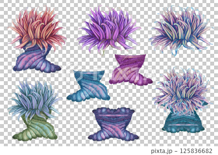Set of watercolor sea anemones with green blue pink tentacles on white background for marine design 125836682