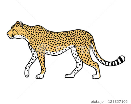 チーター チーター 125837103