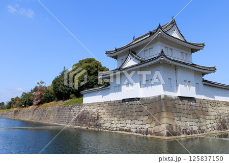 京都 春の二条城 東南隅櫓 (京都府京都市中京区) 125837150
