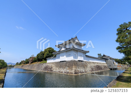 京都 春の二条城 東南隅櫓と東大手門 (京都府京都市中京区) 125837153