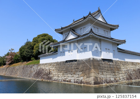 京都 春の二条城 東南隅櫓 (京都府京都市中京区) 京都 春の二条城 東南隅櫓 (京都府京都市中京区) 125837154