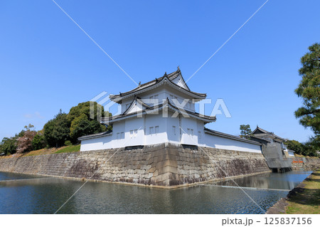 京都 春の二条城 東南隅櫓と東大手門 (京都府京都市中京区) 125837156