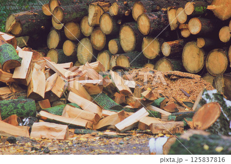 Chopped wood in the yard 125837816