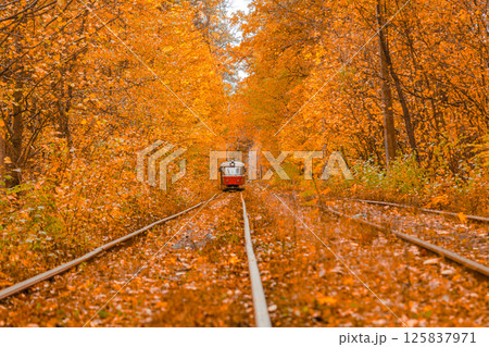Autumn forest through which the tram travels, Kyiv and rails 125837971