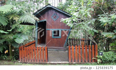 Quaint Wooden Cabin with Green Trim Surrounded by Lush Vegetation in a Tranquil Forest Setting Quaint Wooden Cabin with Green Trim Surrounded by Lush Vegetation in a Tranquil Forest Setting 125839175