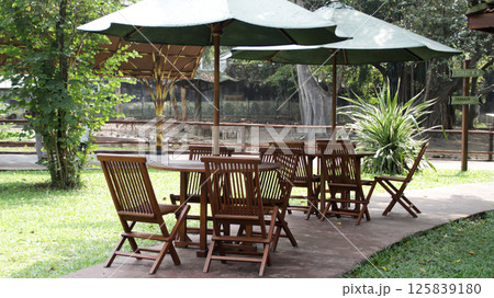 Outdoor Wooden Patio Seating with Green Umbrellas in a Lush Garden Setting at a Zoo Outdoor Wooden Patio Seating with Green Umbrellas in a Lush Garden Setting at a Zoo 125839180