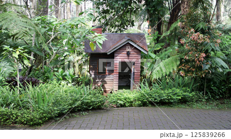 Charming miniature wooden house surrounded by lush green plants in a serene garden setting on a sunny day Charming miniature wooden house surrounded by lush green plants in a serene garden setting on a sunny day 125839266