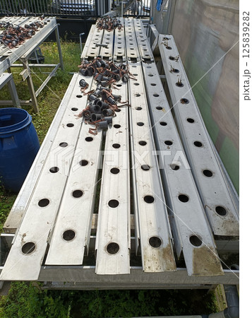 Abandoned Hydroponic Trays with Rusted Metal and Disassembled Parts in Outdoor Setting on a Sunny Day Abandoned Hydroponic Trays with Rusted Metal and Disassembled Parts in Outdoor Setting on a Sunny Day 125839282
