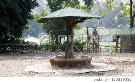 Gazebo in Zoo Habitat for Animal Feeding with Greenery and Natural Surroundings in Bright Daylight Gazebo in Zoo Habitat for Animal Feeding with Greenery and Natural Surroundings in Bright Daylight 125839355