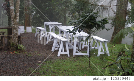 Misty Forest Outdoor Seating Area with White Wooden Tables and Benches in a Serene Natural Setting Misty Forest Outdoor Seating Area with White Wooden Tables and Benches in a Serene Natural Setting 125839445
