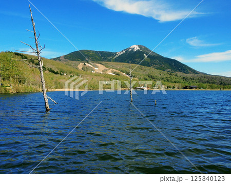 春の女神湖から見る蓼科山 125840123