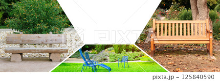 A beautiful bench in a city park against the backdrop of trees. 125840590