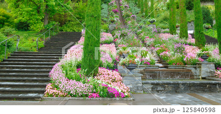 Fragment of the Garden of Eden on Mainau Island, Constance, Germany. 125840598