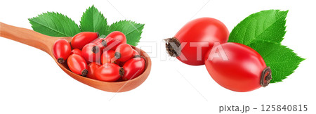 Rose hip in wooden spoon isolated on a white background with full depth of field Rose hip in wooden spoon isolated on a white background with full depth of field 125840815