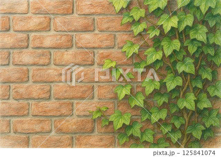 煉瓦壁・蔦・鉛筆画 125841074