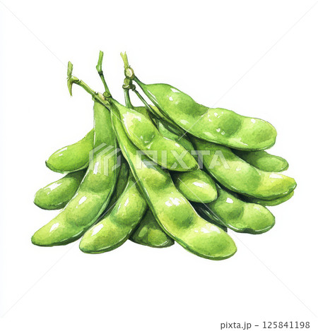 Vibrant green edamame watercolor painting showcasing freshness Vibrant green edamame watercolor painting showcasing freshness 125841198