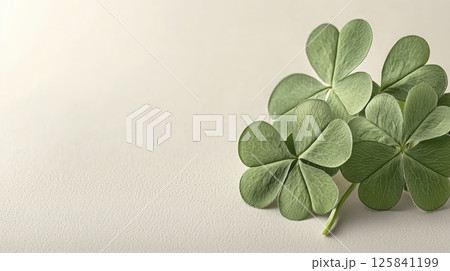 Vibrant green four leaf clovers on textured background Vibrant green four leaf clovers on textured background 125841199