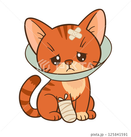 Sad orange tabby cat with cone collar and bandaged paw and ear. Chibi cat Flat style 125841591